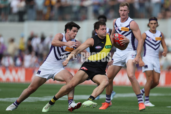 AFL 2025 Round 05 - Richmond v Fremantle - A-58569406