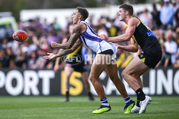AFL 2025 Round 05 - Richmond v Fremantle - A-58569455