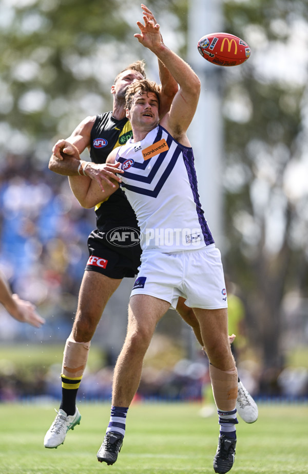 AFL 2025 Round 05 - Richmond v Fremantle - A-58569480
