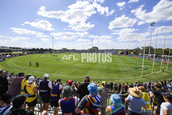 AFL 2025 Round 05 - Richmond v Fremantle - A-58569494