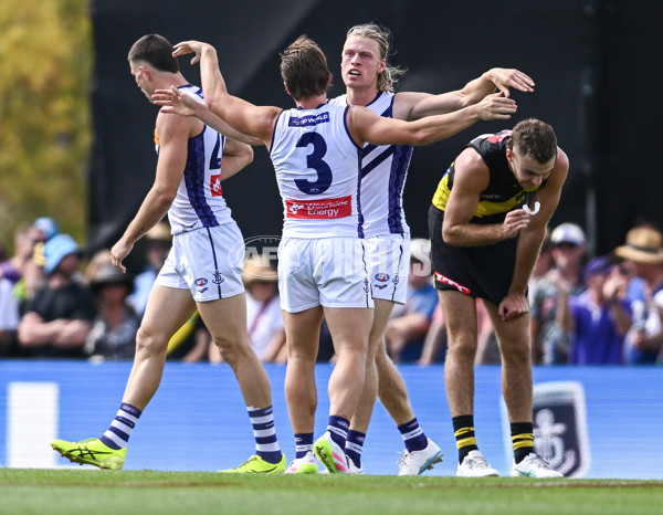 AFL 2025 Round 05 - Richmond v Fremantle - A-58571134