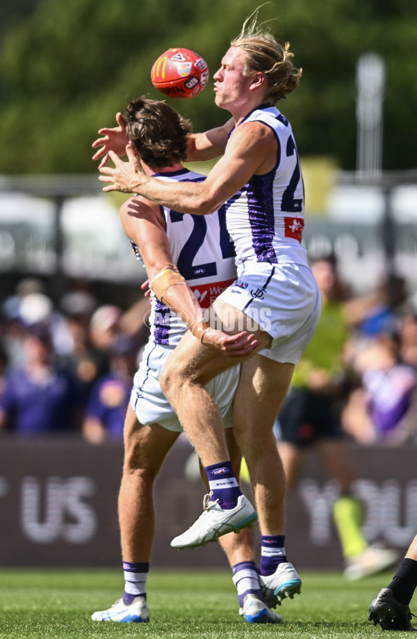 AFL 2025 Round 05 - Richmond v Fremantle - A-58571137