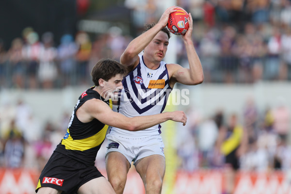 AFL 2025 Round 05 - Richmond v Fremantle - A-58571140