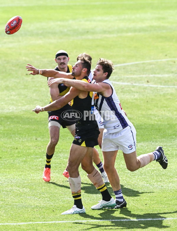 AFL 2025 Round 05 - Richmond v Fremantle - A-58571145