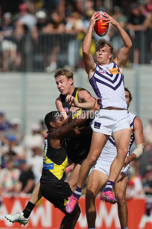 AFL 2025 Round 05 - Richmond v Fremantle - A-58571210