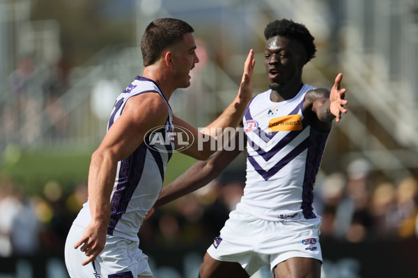 AFL 2025 Round 05 - Richmond v Fremantle - A-58572288