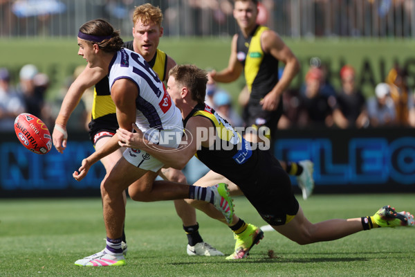 AFL 2025 Round 05 - Richmond v Fremantle - A-58572290