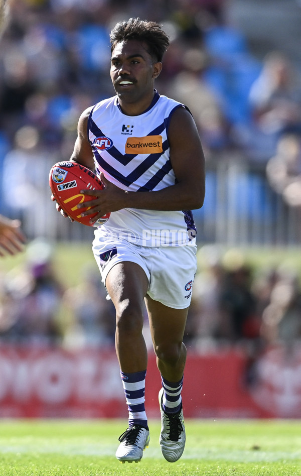 AFL 2025 Round 05 - Richmond v Fremantle - A-58574834
