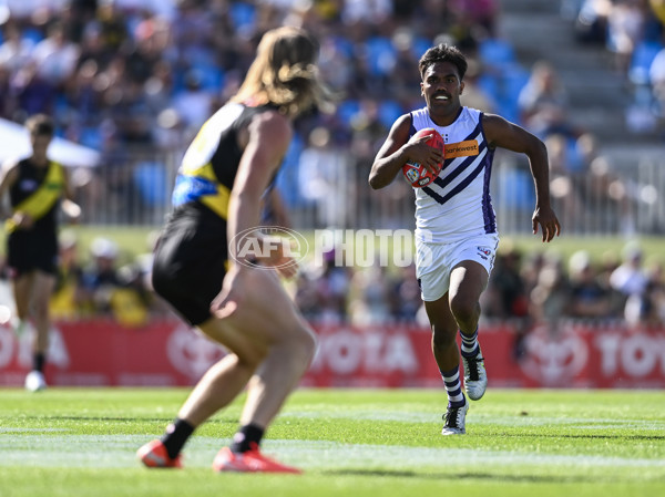 AFL 2025 Round 05 - Richmond v Fremantle - A-58576592