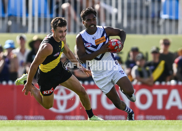 AFL 2025 Round 05 - Richmond v Fremantle - A-58576600