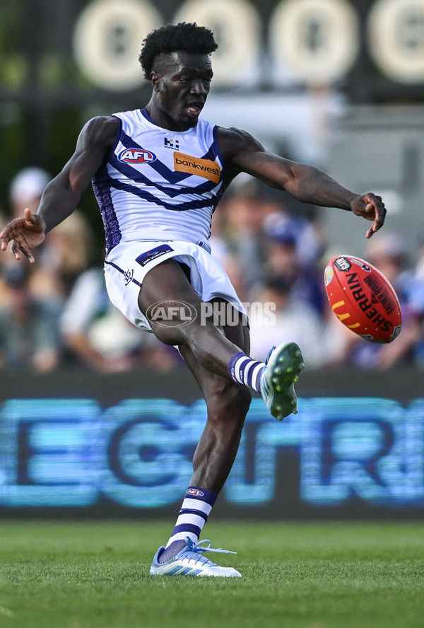 AFL 2025 Round 05 - Richmond v Fremantle - A-58576647