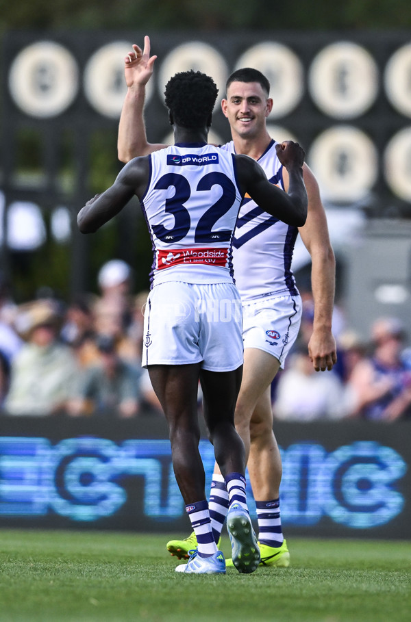 AFL 2025 Round 05 - Richmond v Fremantle - A-58577838