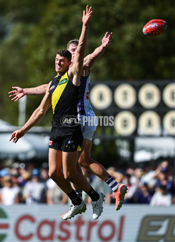AFL 2025 Round 05 - Richmond v Fremantle - A-58582329