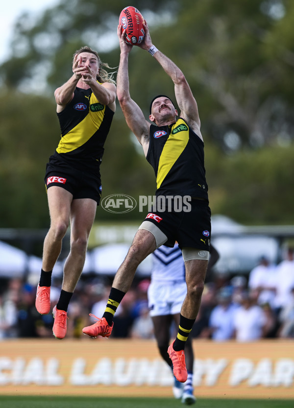 AFL 2025 Round 05 - Richmond v Fremantle - A-58586173