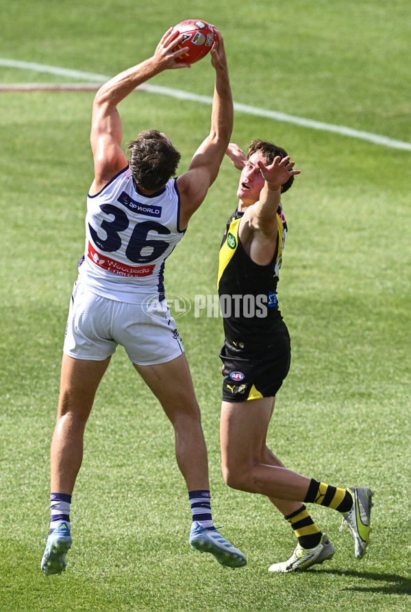 AFL 2025 Round 05 - Richmond v Fremantle - A-58586237