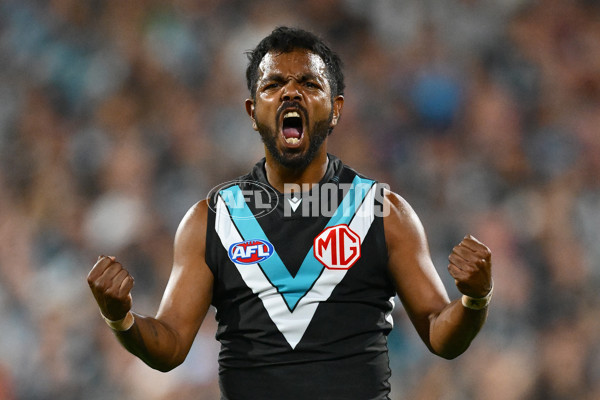 AFL 2025 Round 05 - Port Adelaide v Hawthorn - A-58587058