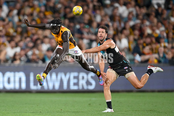 AFL 2025 Round 05 - Port Adelaide v Hawthorn - A-58589745