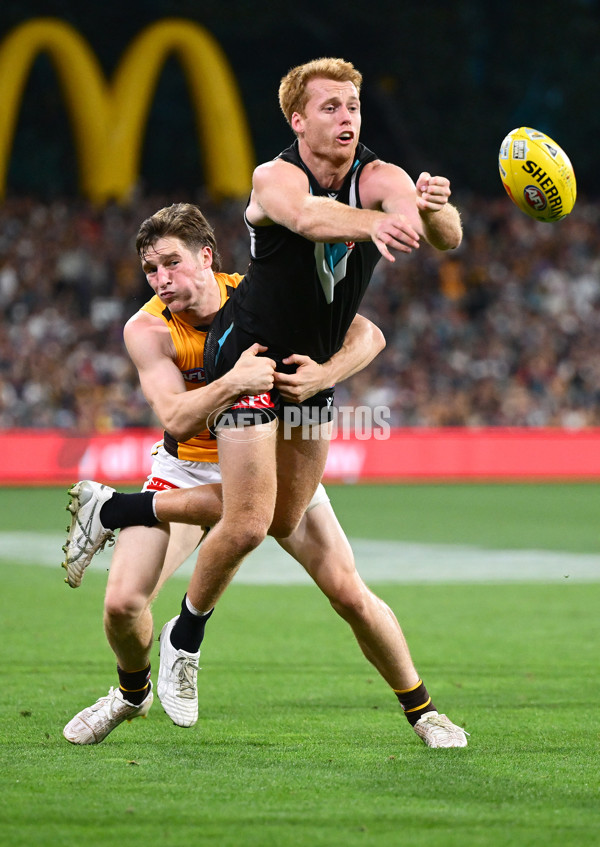 AFL 2025 Round 05 - Port Adelaide v Hawthorn - A-58593646