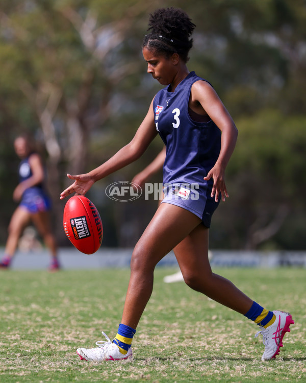 Victorian Diversity All Stars 2025 Girls - Victoria Country v Victoria Metro - A-58616793