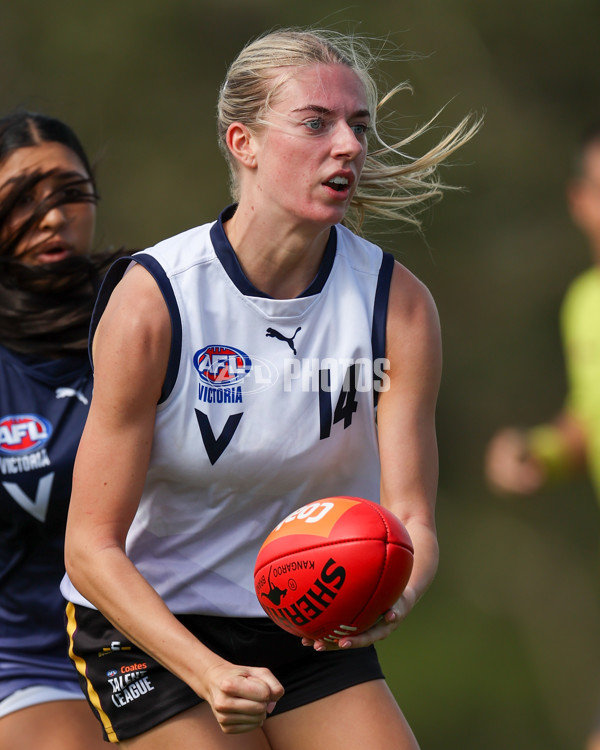 Victorian Diversity All Stars 2025 Girls - Victoria Country v Victoria Metro - A-58620477
