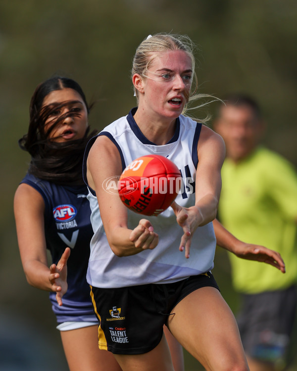 Victorian Diversity All Stars 2025 Girls - Victoria Country v Victoria Metro - A-58620478
