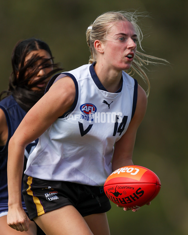 Victorian Diversity All Stars 2025 Girls - Victoria Country v Victoria Metro - A-58620480