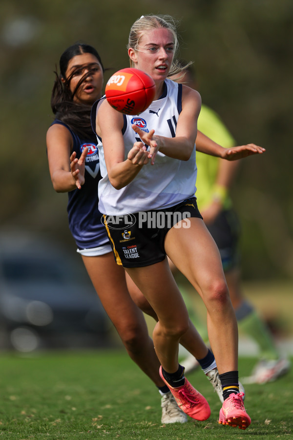 Victorian Diversity All Stars 2025 Girls - Victoria Country v Victoria Metro - A-58620481