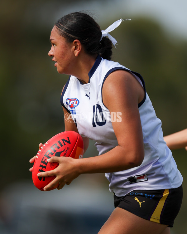 Victorian Diversity All Stars 2025 Girls - Victoria Country v Victoria Metro - A-58620488