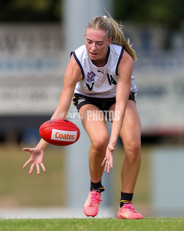 Victorian Diversity All Stars 2025 Girls - Victoria Country v Victoria Metro - A-58624863