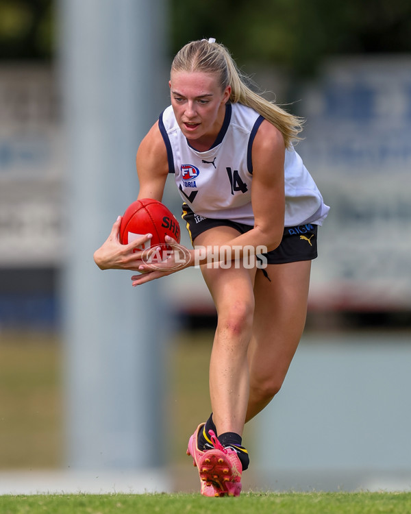 Victorian Diversity All Stars 2025 Girls - Victoria Country v Victoria Metro - A-58625169