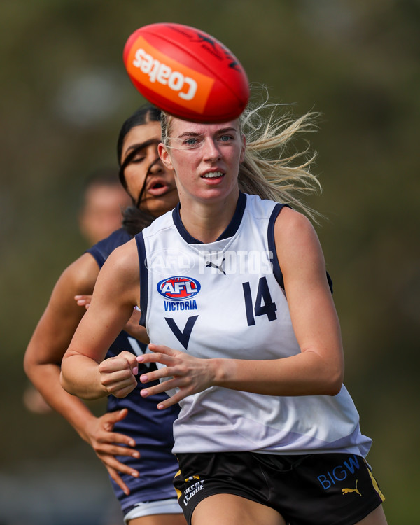 Victorian Diversity All Stars 2025 Girls - Victoria Country v Victoria Metro - A-58625186