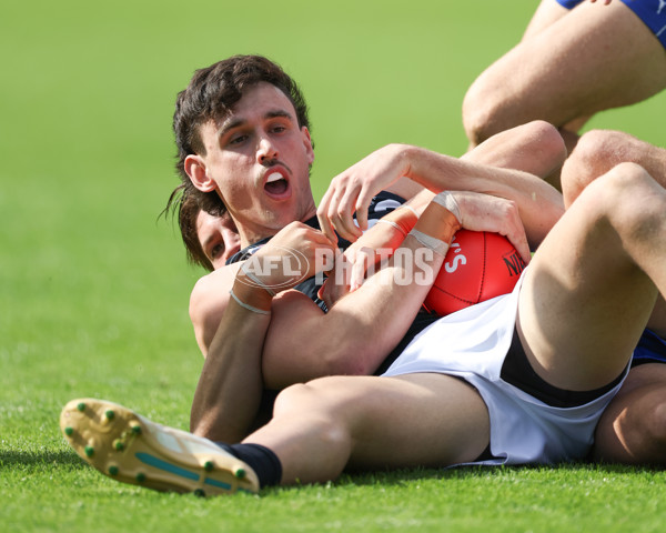 VFL 2025 Round 04 - North Melbourne v Carlton - A-58746012