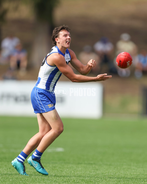 VFL 2025 Round 04 - North Melbourne v Carlton - A-58746013