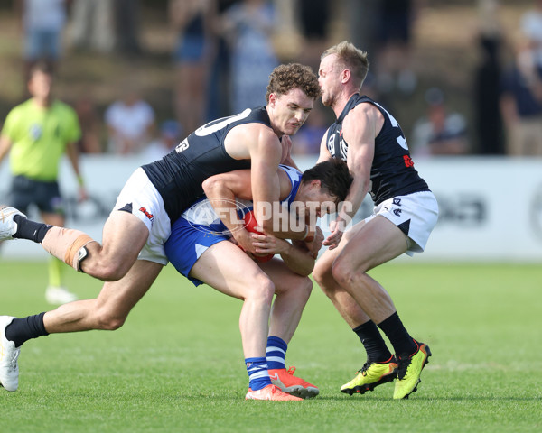 VFL 2025 Round 04 - North Melbourne v Carlton - A-58746014