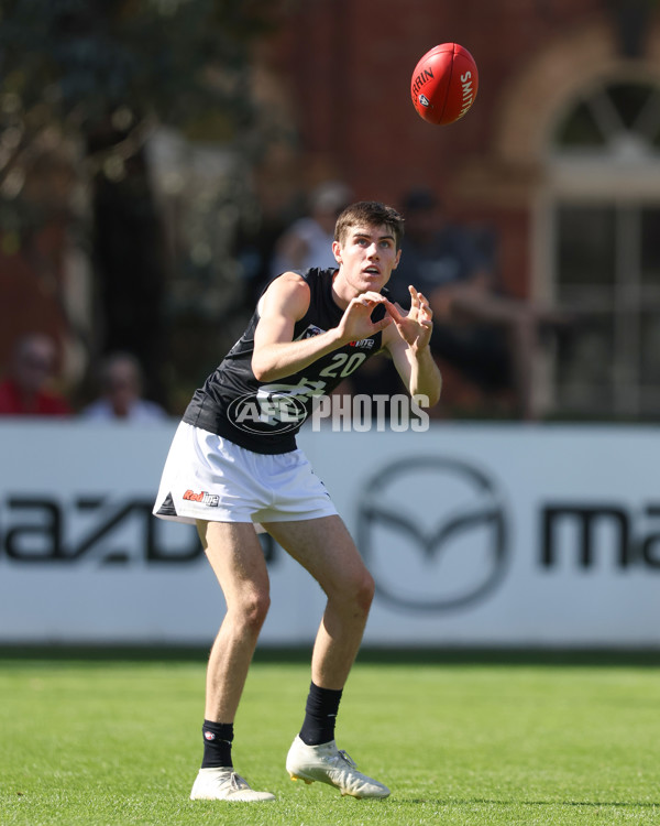 VFL 2025 Round 04 - North Melbourne v Carlton - A-58746028