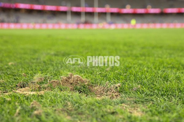 AFL 2025 Round 06 - West Coast v Essendon - A-58768759