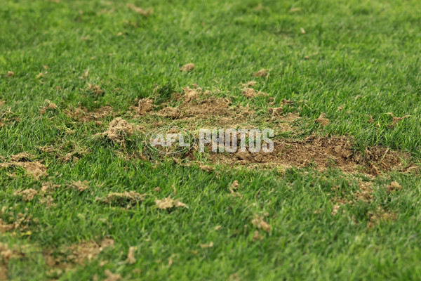 AFL 2025 Round 06 - West Coast v Essendon - A-58768760