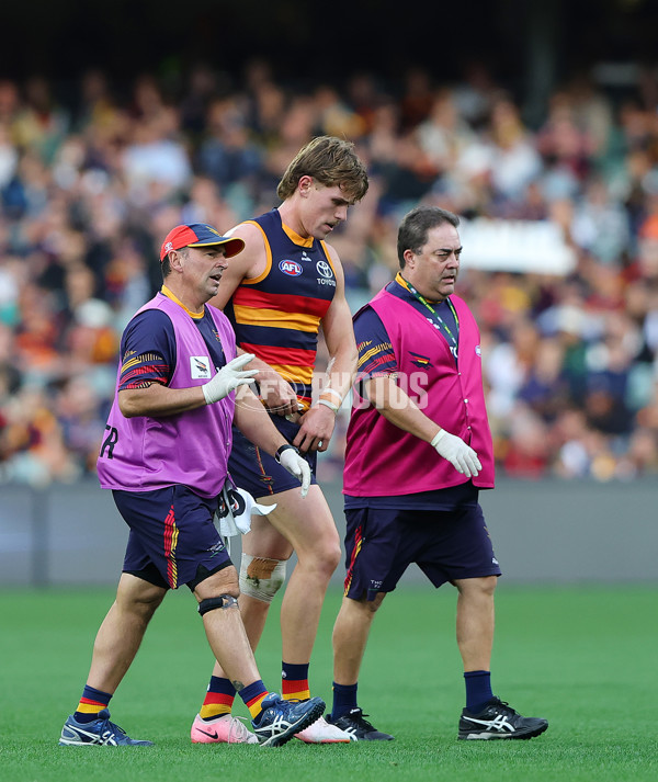 AFL 2025 Round 06 - Adelaide v GWS - A-58781983