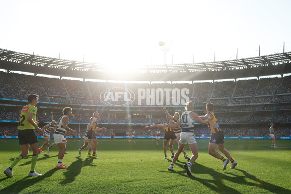 AFL 2025 Round 06 - Geelong v Hawthorn - A-58835521