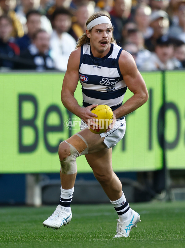 AFL 2025 Round 06 - Geelong v Hawthorn - A-58835528
