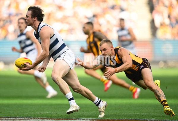 AFL 2025 Round 06 - Geelong v Hawthorn - A-58835820