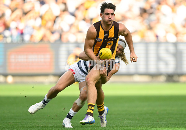 AFL 2025 Round 06 - Geelong v Hawthorn - A-58835822
