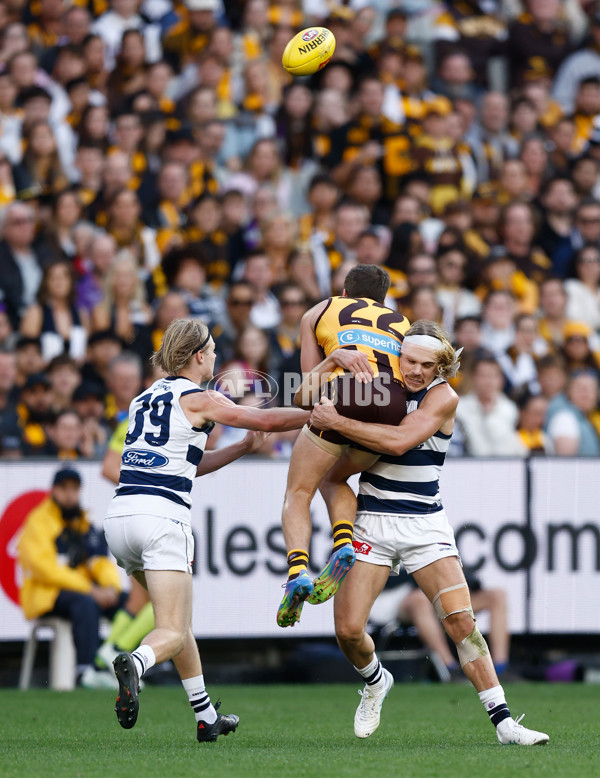 AFL 2025 Round 06 - Geelong v Hawthorn - A-58838879