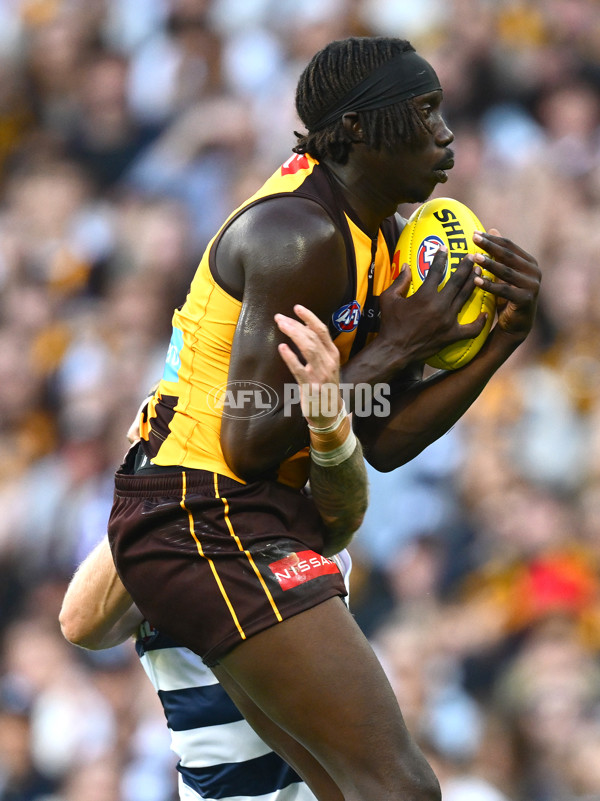 AFL 2025 Round 06 - Geelong v Hawthorn - A-58838896