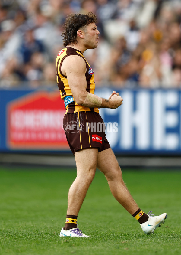 AFL 2025 Round 06 - Geelong v Hawthorn - A-58838912