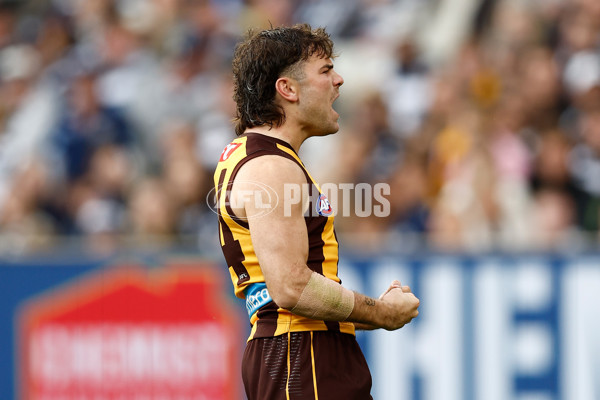 AFL 2025 Round 06 - Geelong v Hawthorn - A-58838916