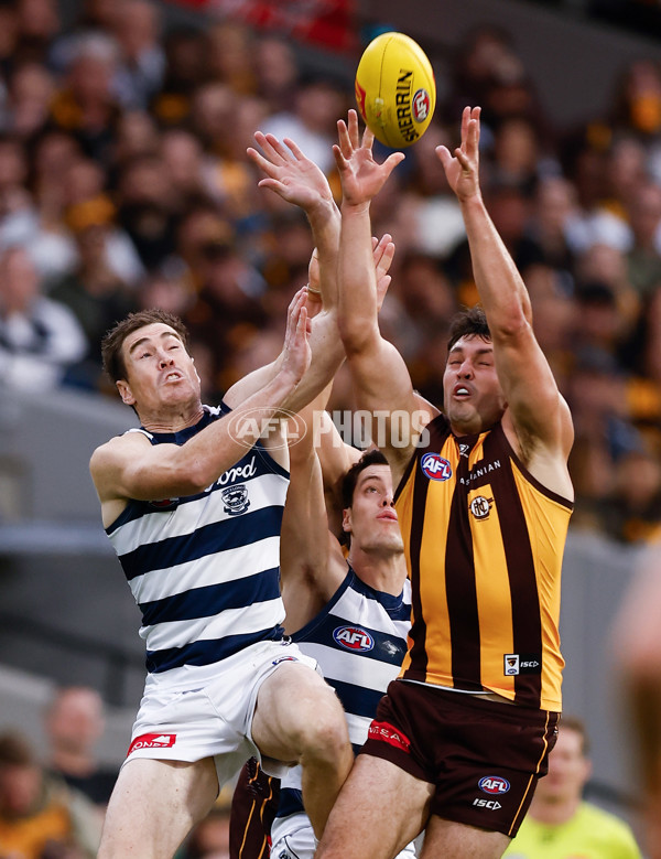 AFL 2025 Round 06 - Geelong v Hawthorn - A-58838918