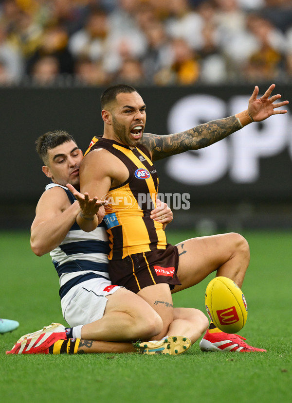 AFL 2025 Round 06 - Geelong v Hawthorn - A-58838933