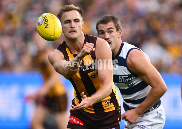 AFL 2025 Round 06 - Geelong v Hawthorn - A-58838942