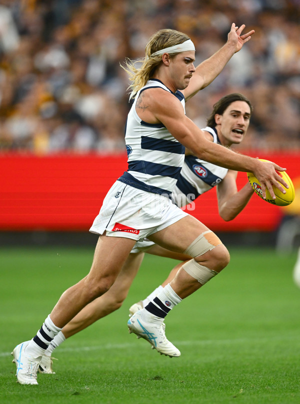 AFL 2025 Round 06 - Geelong v Hawthorn - A-58838944